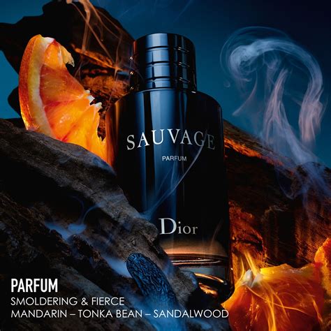 sauvage dior parfum 2019|dior sauvage unisex.